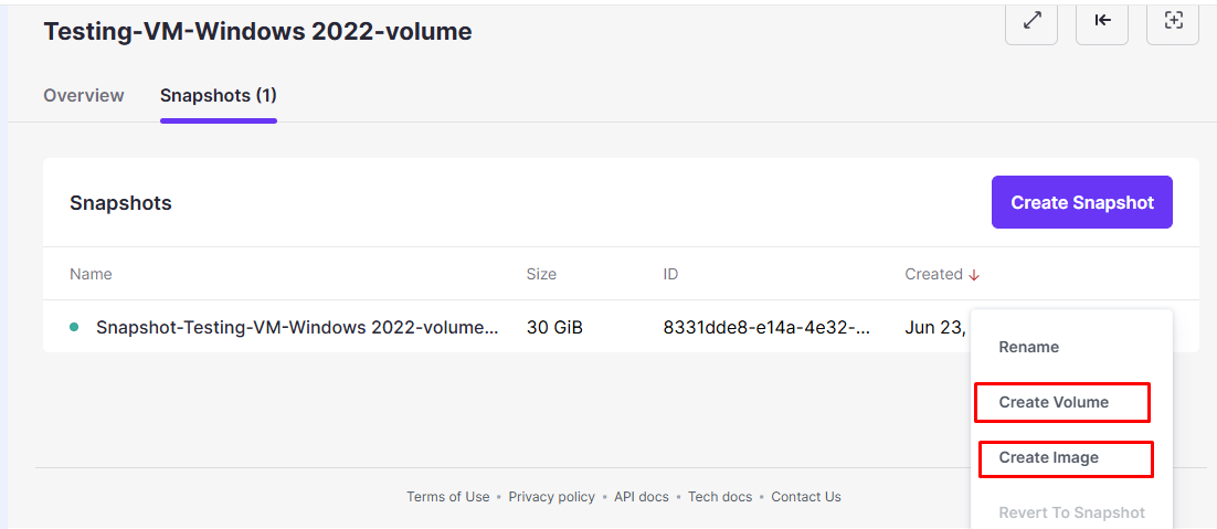 Generate a Volume or Image from the Snapshot