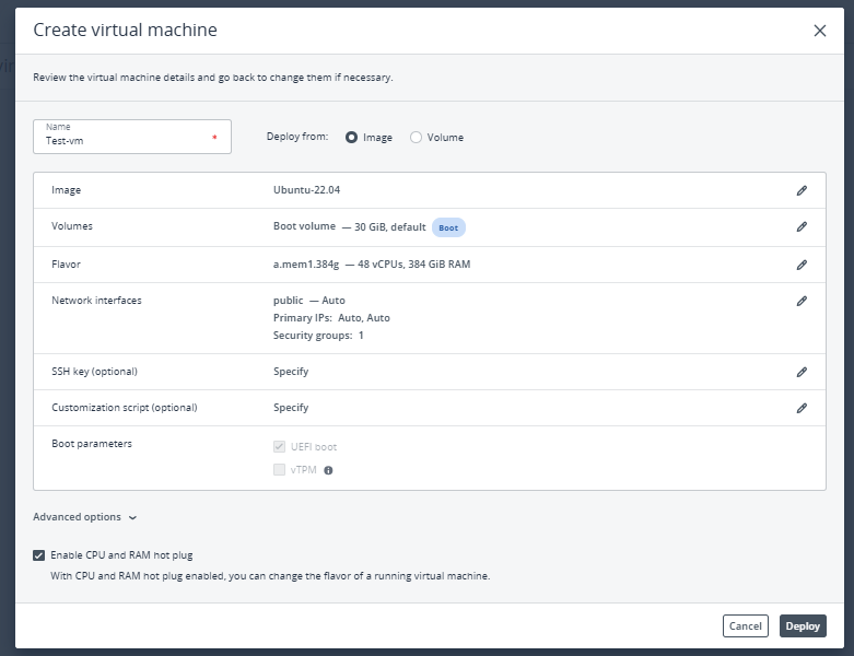 Deploy the Virtual Machine